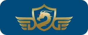 Partner 6